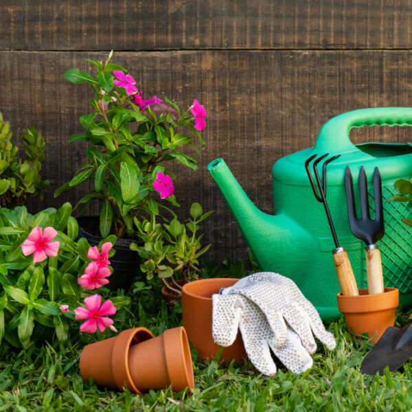 Gardening